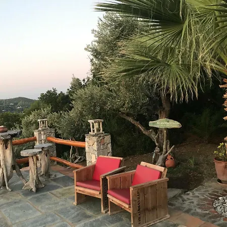 Hakunamatata Villa